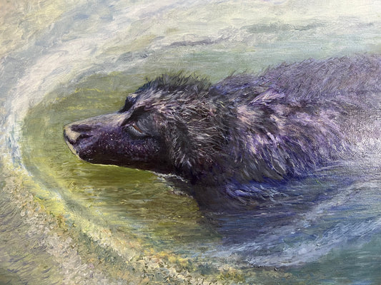 Cassie's Favorite Day