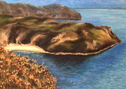 Lantic Bay – Cornwall UK