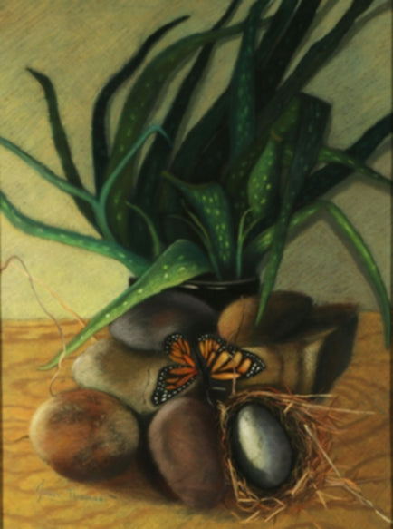 Mother-in-Law’s Tongue