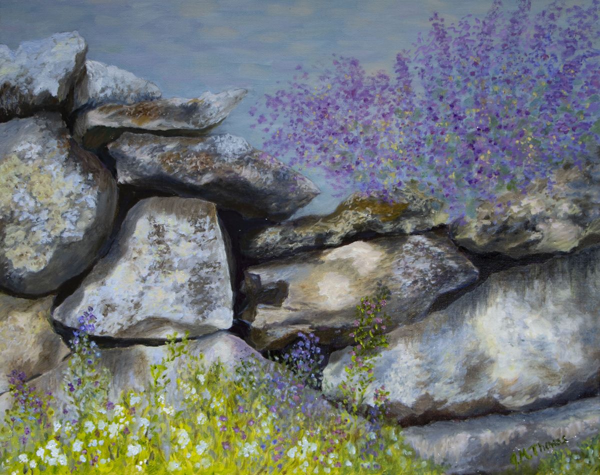 Rocky Path
